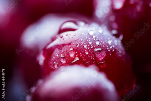 Red grape