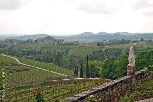 Le colline del Collio dall'Abbazia di Rosazzo - Friuli