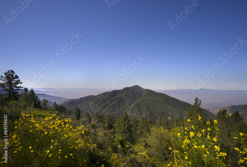 San Bernardino National Forest, Ca,USA 
