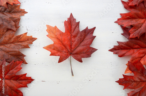 Happy Canada Day red silk leaves in shape of Canadian Flag.