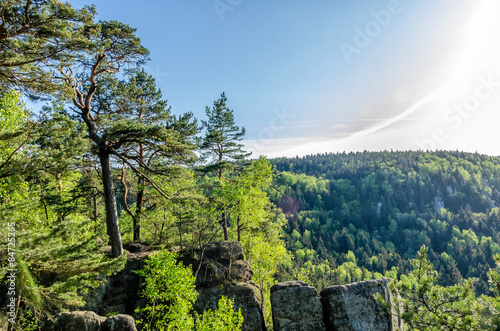 Góry Stołowe, Szczeliniec