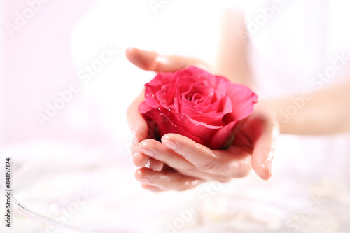 Piękna i delikatna, kobiece dłonie z kwiatem czerwonej róży