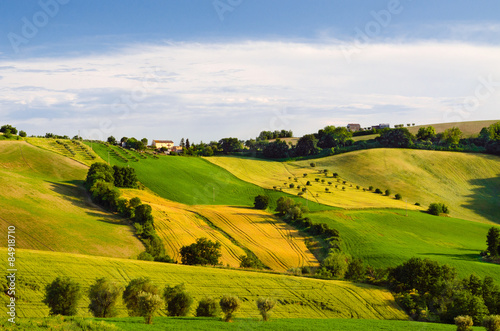 Colline ondulate