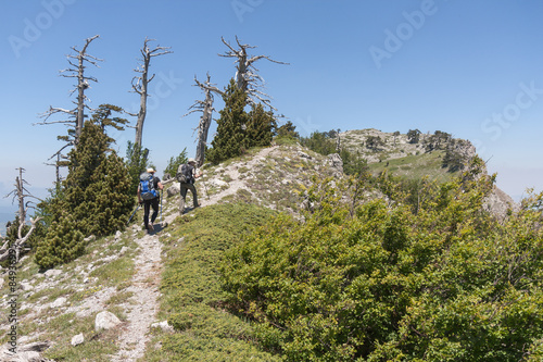 Parco Nazionale del Pollino