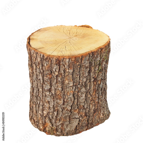 oak stump, stump log fire wood isolated on white background 