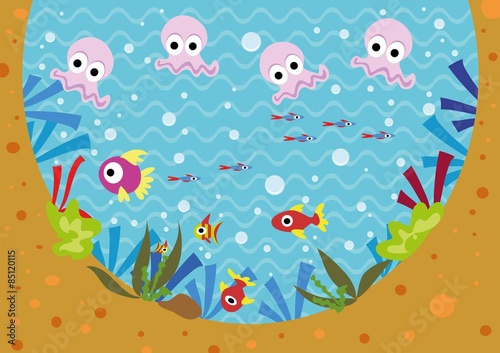 podwodny świat,ryby,rybki,meduzy,woda,pod wodą