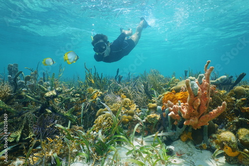 Man snorkeling underwater looks reef fish