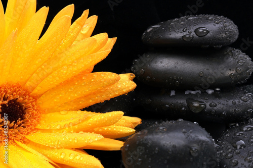 Flower and massage stones