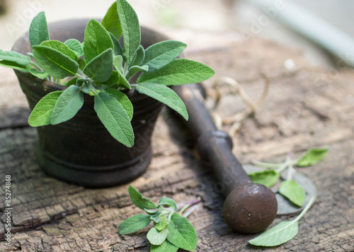 Fresh sage in a mortar