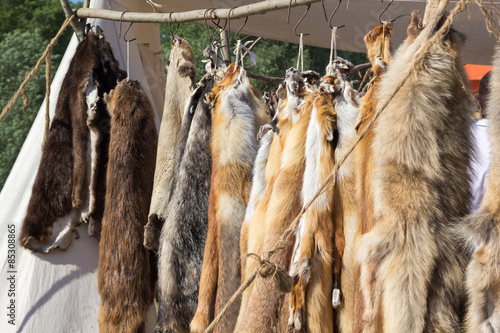 pelts of fur animals hang on rope