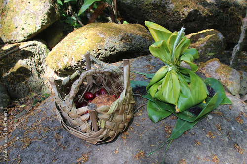 Traditional hawaiian offering wrapped in ti leaves and a palm leaf hand woven basket with coconut and berries