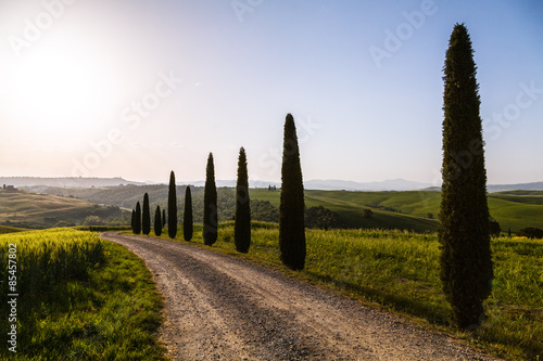 A country road in Tuscany, Italy.