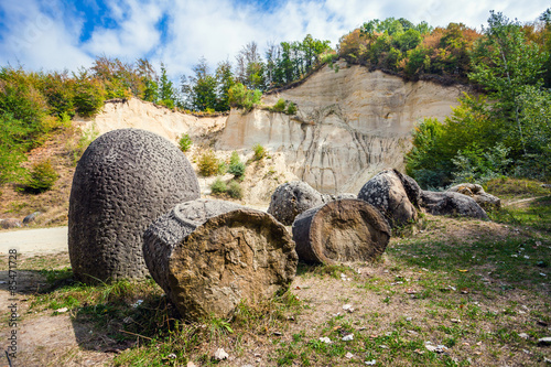 The Trovants of Costesti - The Living and Growing Stones of Roma