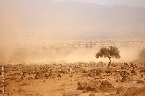 Dusty plains during a drought, Kenya