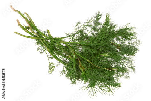 dill