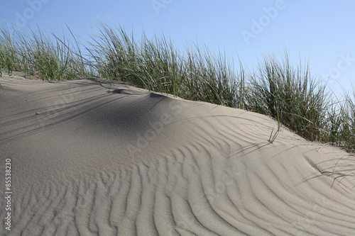 Düne mit Strandhafer