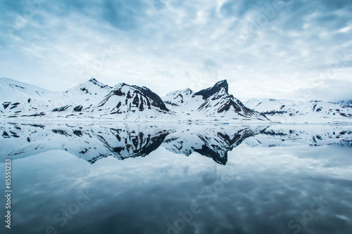 Arctic spring in south Spitsbergen