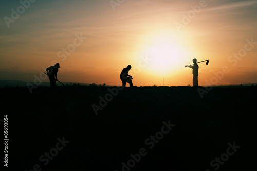 Trabalho no campo