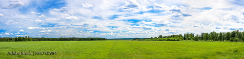 summer landscape a panorama with a field , agriculture