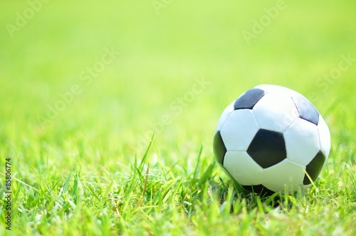 芝生とサッカーボール