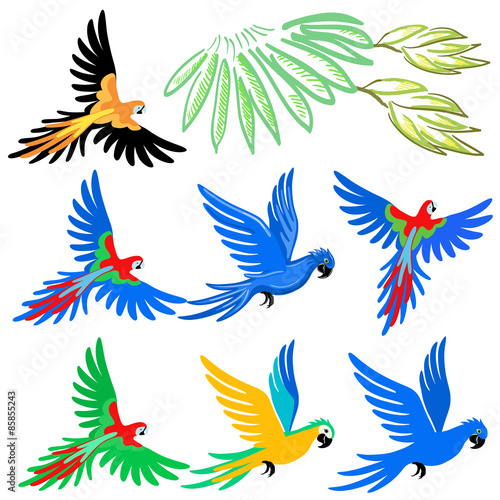 Macaw parrot pattern set