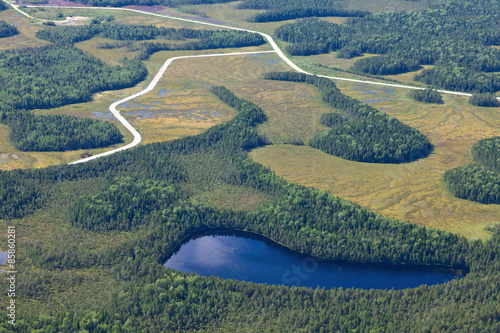 Aerial view over forest marshy terrain in summer.