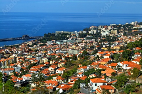 View of Funchal, Madeira #1