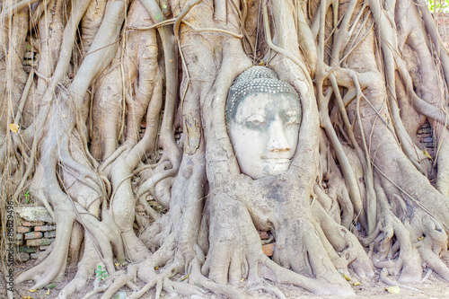  tête de Bouddha, temple de Wat Phra Mahathat 