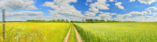 Panorama of a country road and summer fields