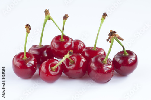 Morello cherries 