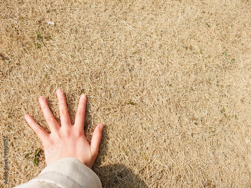 芝に手をつく