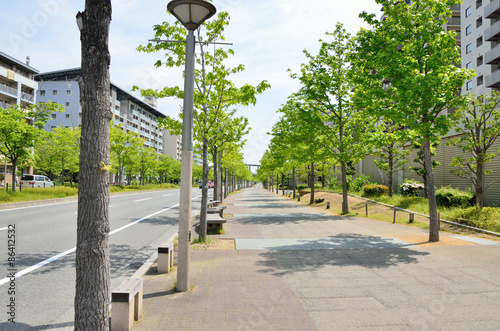 新緑の歩道と高層マンション