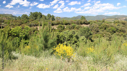 Parc haut languedoc, France