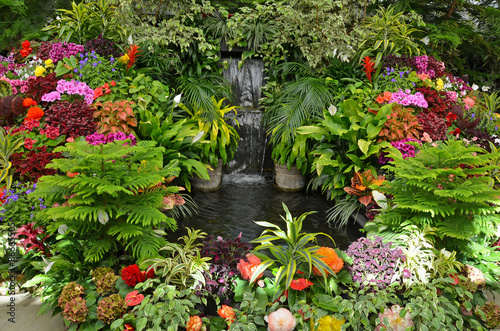 Colorful tropical garden