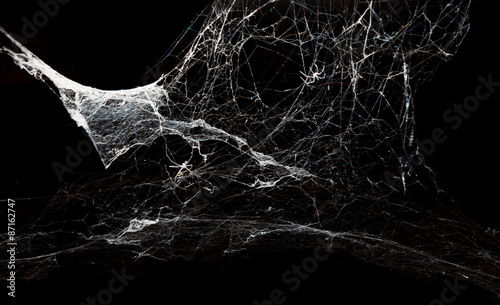 Abstrakcjonistyczny Spiderweb na czarnym tle