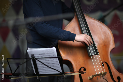Musian's fingers on a contrabass strings