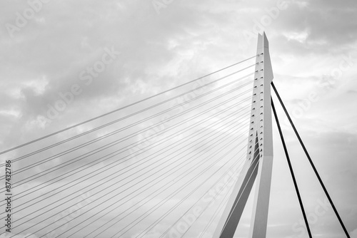 Close up of Erasmus Bridge in Rotterdam