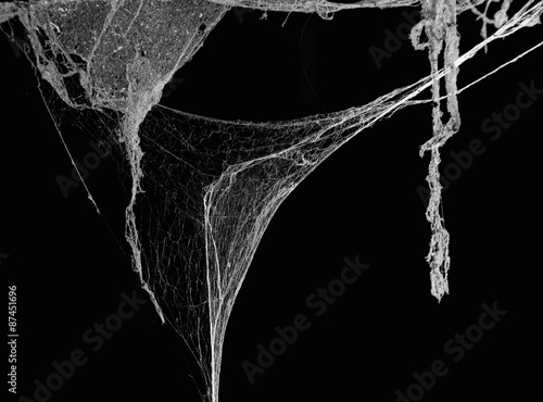 Cobweb on black background