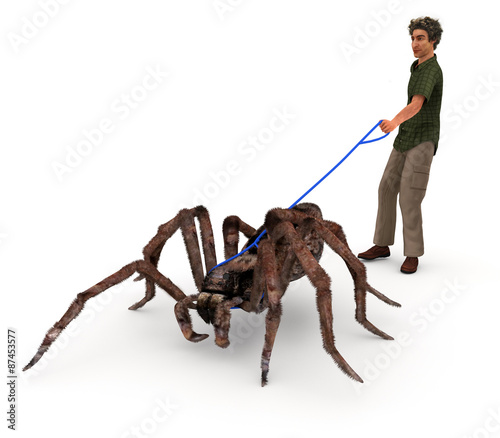 Taking A Spider For A Walk