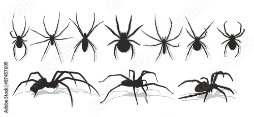 Set of silhouettes of spiders.