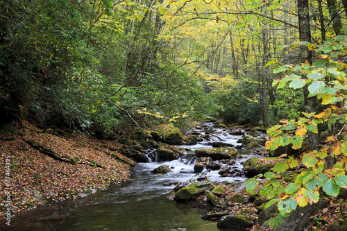 Courthouse Creek in North Carolina Autumn