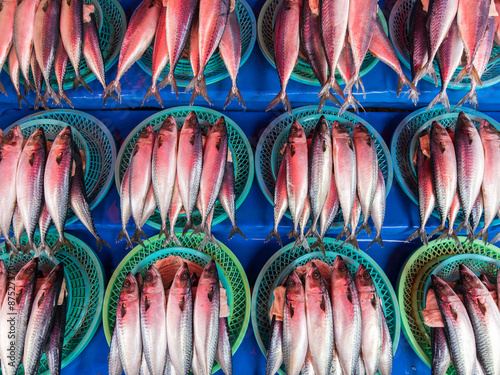 Rote Füsiliere auf dem Fischmarkt in Jagalchi in Busan