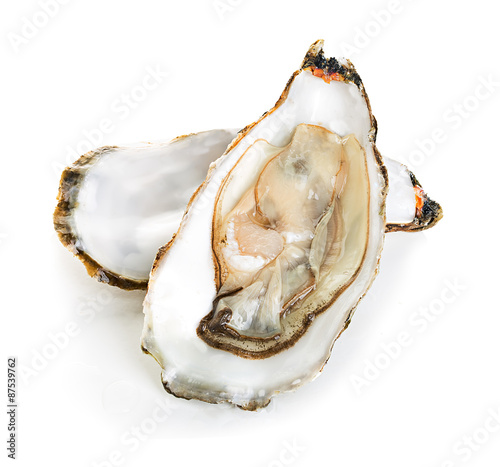 Oysters isolated on a white background