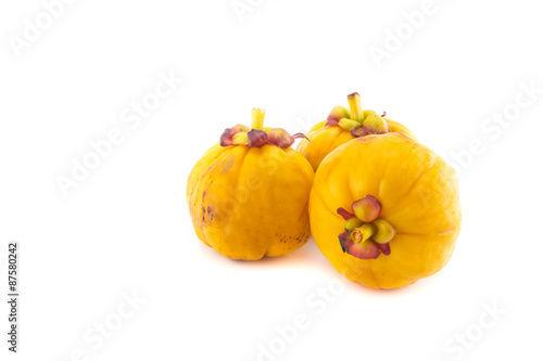 garcinia Cambogia isolated on white background