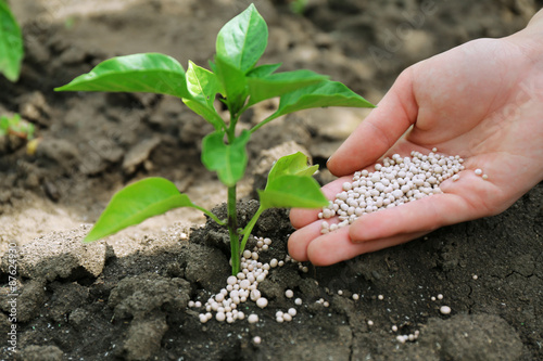 Female hand with fertilizer for plant over soil background