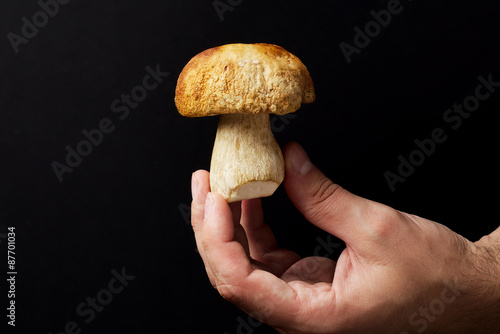 Cep in the hand