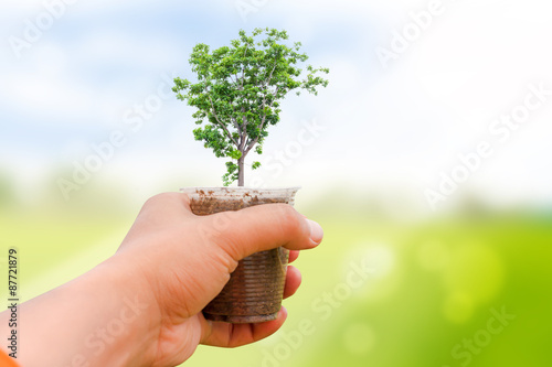 Human plant of tree saving the world.