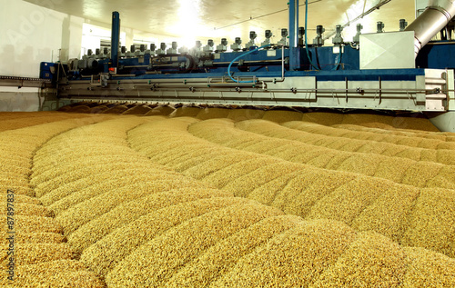 Industrial production of malt. A huge vat