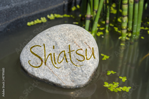 Stein in Wasser mit Om, Yoga, Tai Chi, Qi gong, ZEN, Feng Shui mit Wasserlinsen und Schachtelhalm