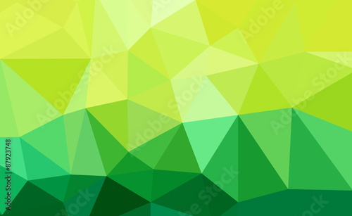 The illustration design Colorful polygon